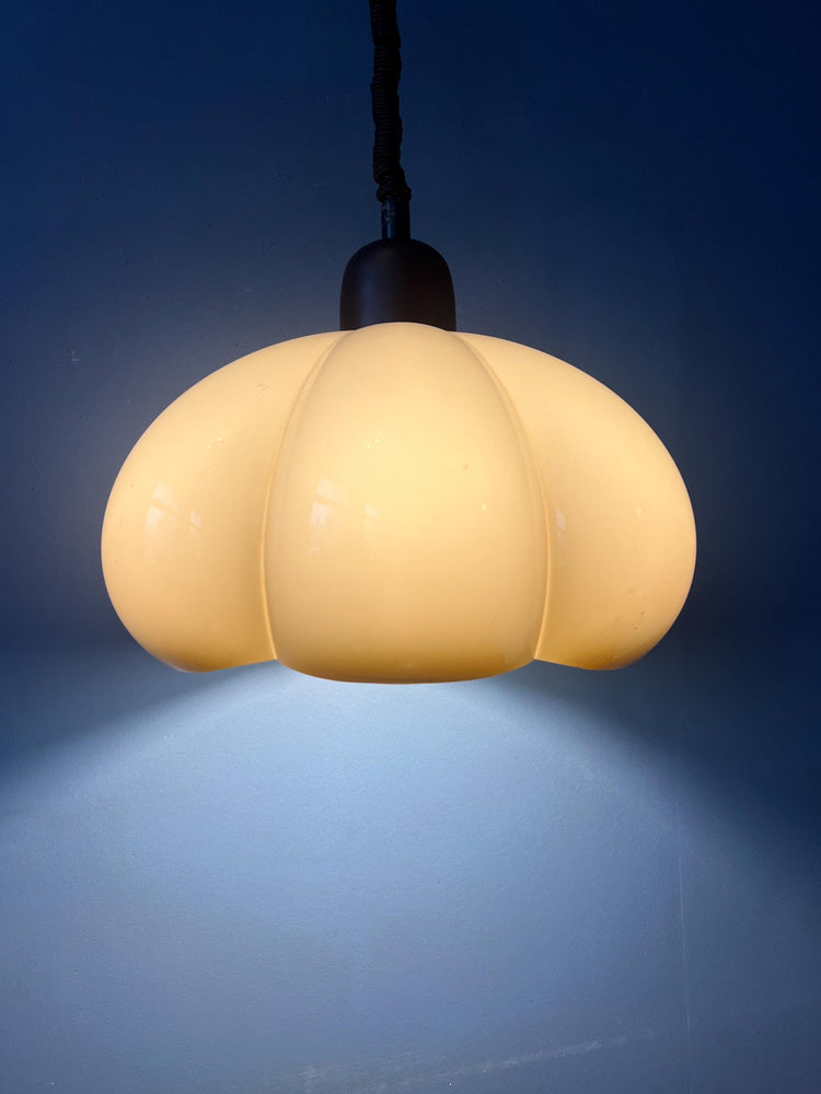 Pexiglass Space Age Flower Pendant Lamp by Herda
