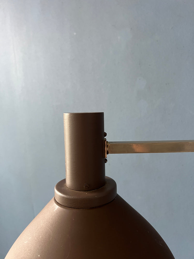 Danish Teak Wood Wall Lamp with Extendable Arm