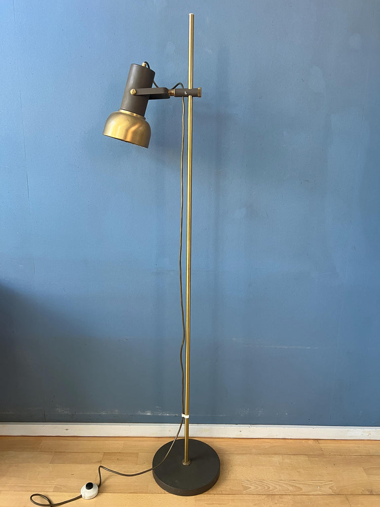 Vintage Brass Floor Lamp with Adjustable Spot