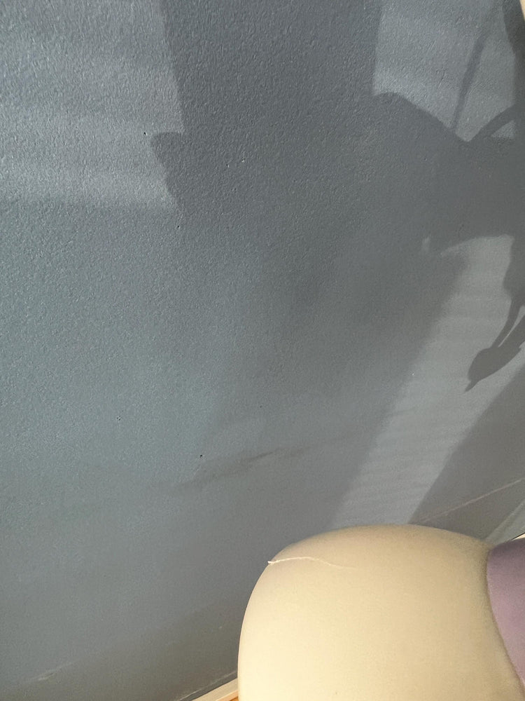 50s Mid Century Vintage Lilac Spider Pendant Lamp