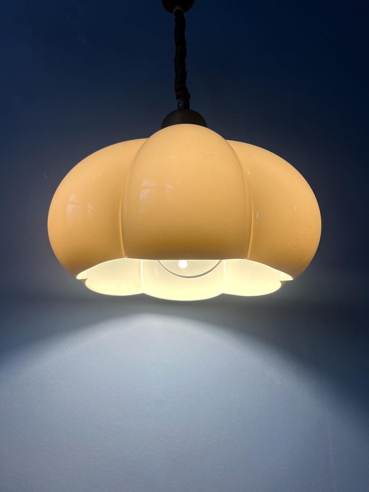 Pexiglass Space Age Flower Pendant Lamp by Herda