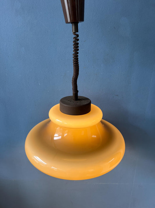 Acrylic Glass Herda Mid Century 70s Vintage Lighting Pendant