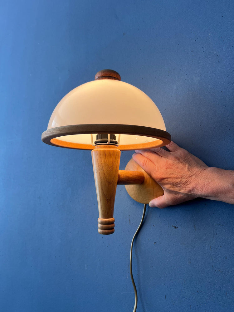 Vintage Steinhauer Wall Lamp Mid Century Adjustable Wooden Arm Plexiglass Light